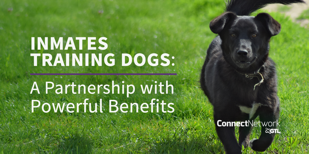 Inmates Training Dogs: A Partnership with Powerful Benefits